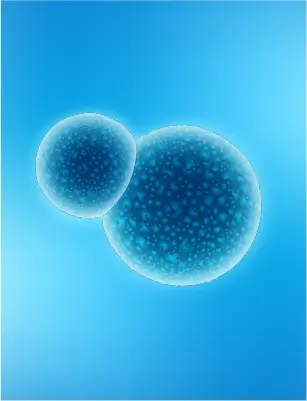 exosome therapy for hair
